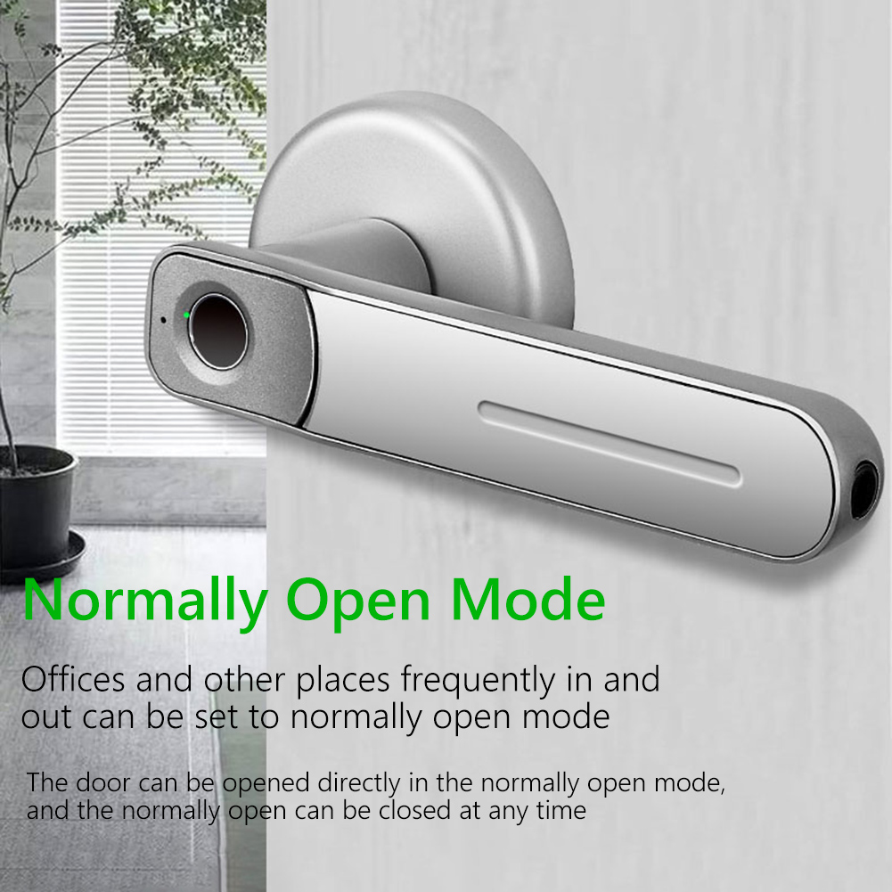 Fingerprint Door Lock Handle U - Home Security Essential recension och pris