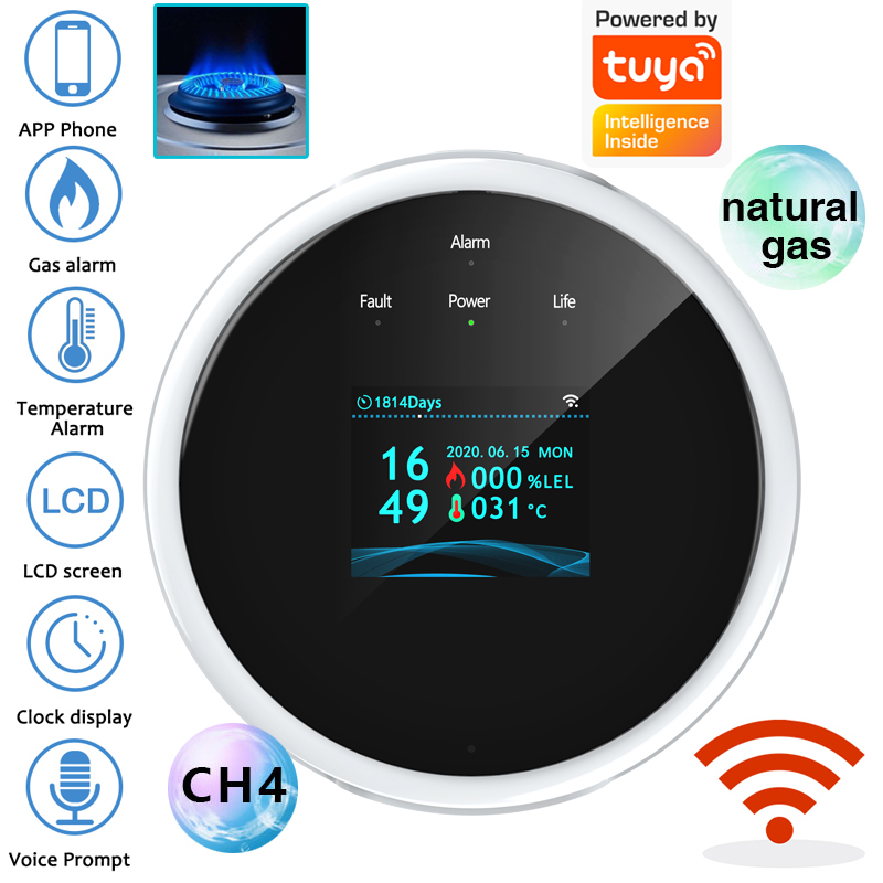 2.4G WiFi Gas Alarm Sensor Com - Home Security System recension och pris