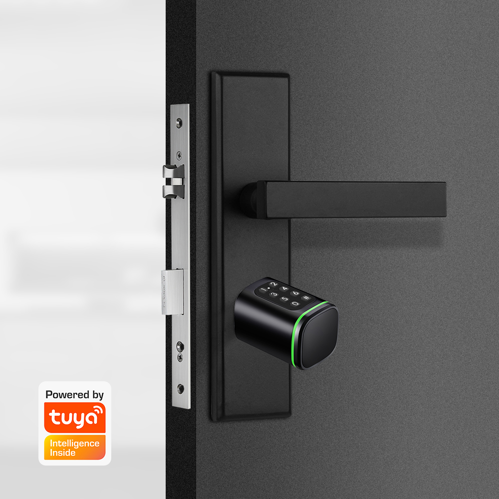 Smart Cylinder Lock Tuya 60-90 - Home Security Essential recension och pris