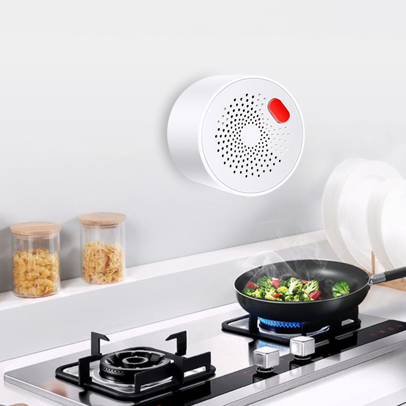 Tuya Smart Home Wifi Natural G - Home Security Guard recension och pris