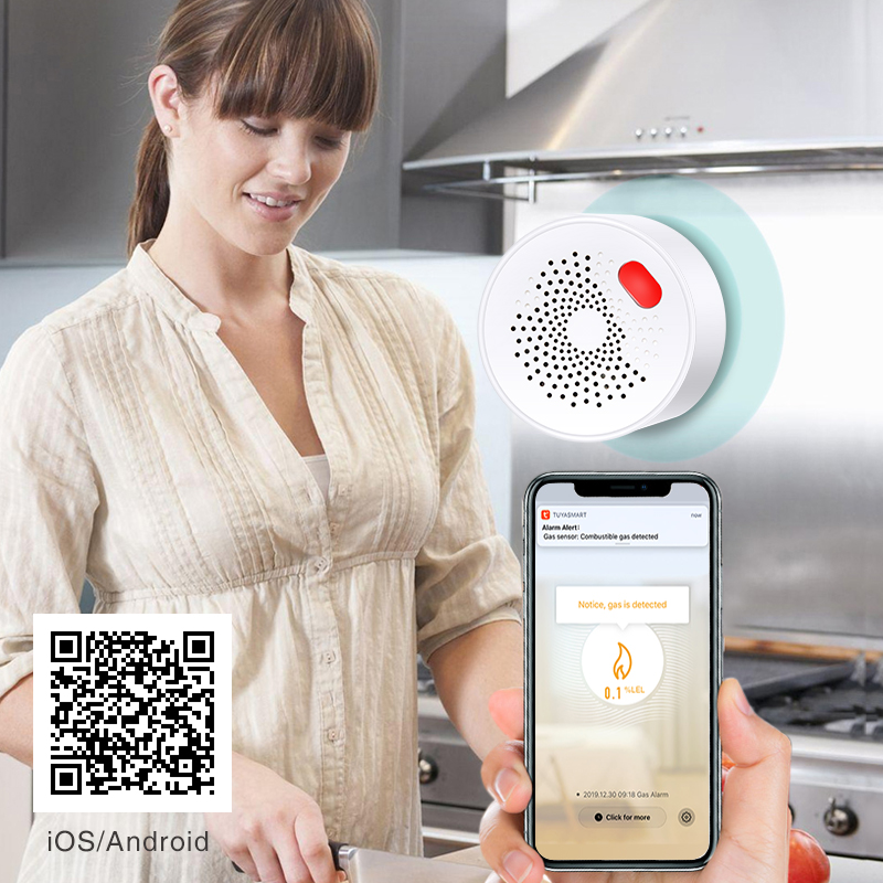 Tuya Smart Home Wifi Natural G - Home Security Guard recension och pris